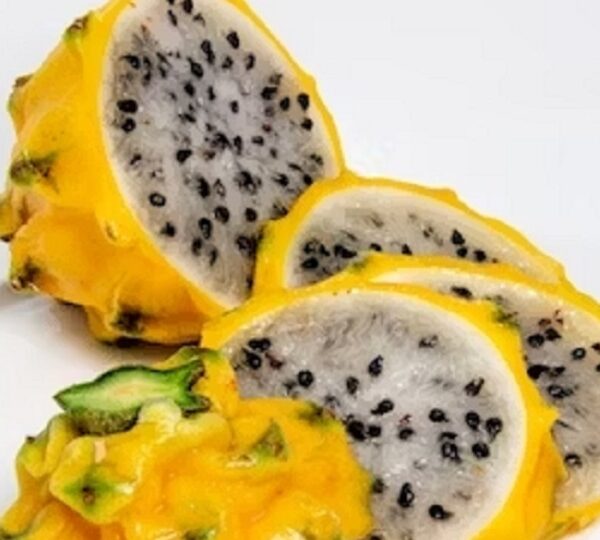 Slices of ripe golden yellow dragon fruit arranged beautifully on a plate, showcasing its vibrant colors and juicy texture.