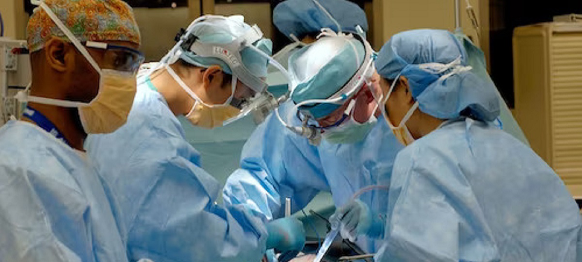 A couple holding hands, symbolizing support during post-gallbladder surgery recovery.