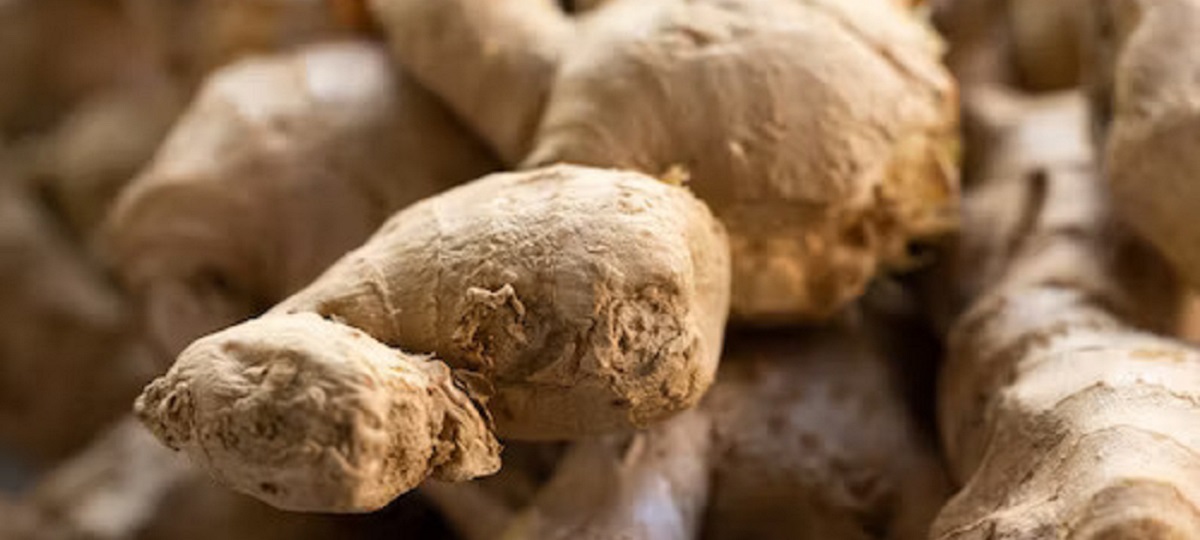 Homemade ginger ale in a glass with ice, a refreshing remedy for nausea with natural antiemetic properties of ginger.